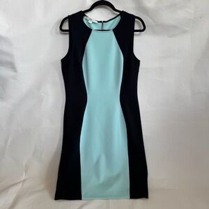 Boston Proper Elegant Black and Mint Dress